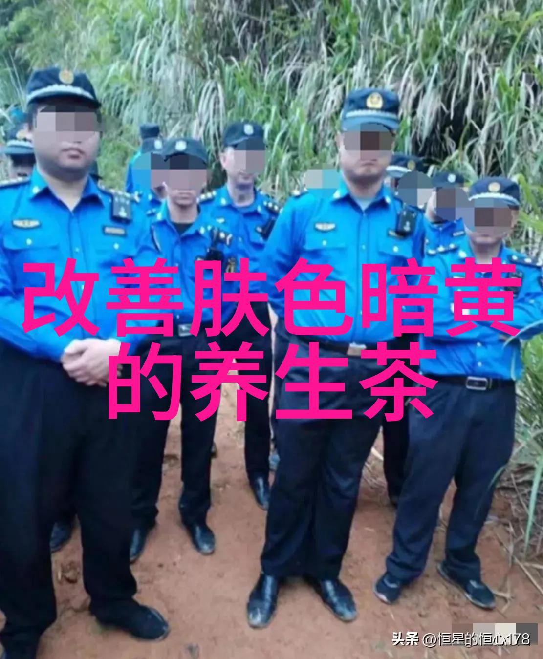 铁观音春秋茶的区别与不同