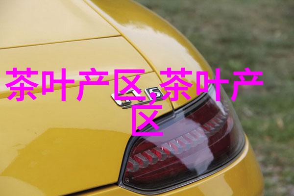 福建安溪茶问答