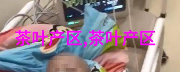 纳西族龙虎斗和盐茶
