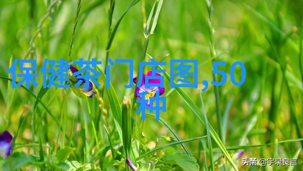茶叶生产与加工专业课程一览