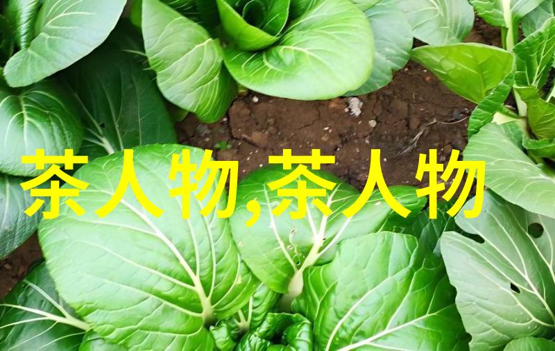 外国友人感受中国茶艺
