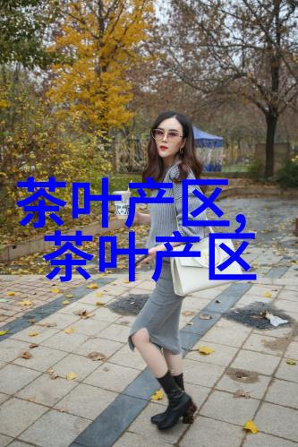 四明山物产丰富尤以特产余姚瀑布茶最为著名