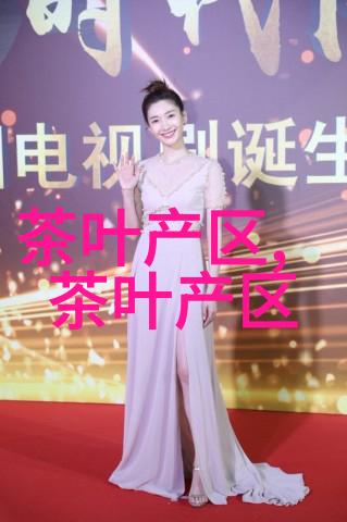 结识华安铁观音