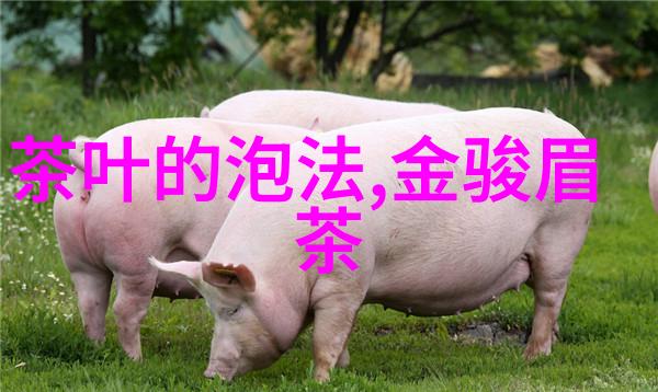 茶性如水心静好品茶-泡茶
