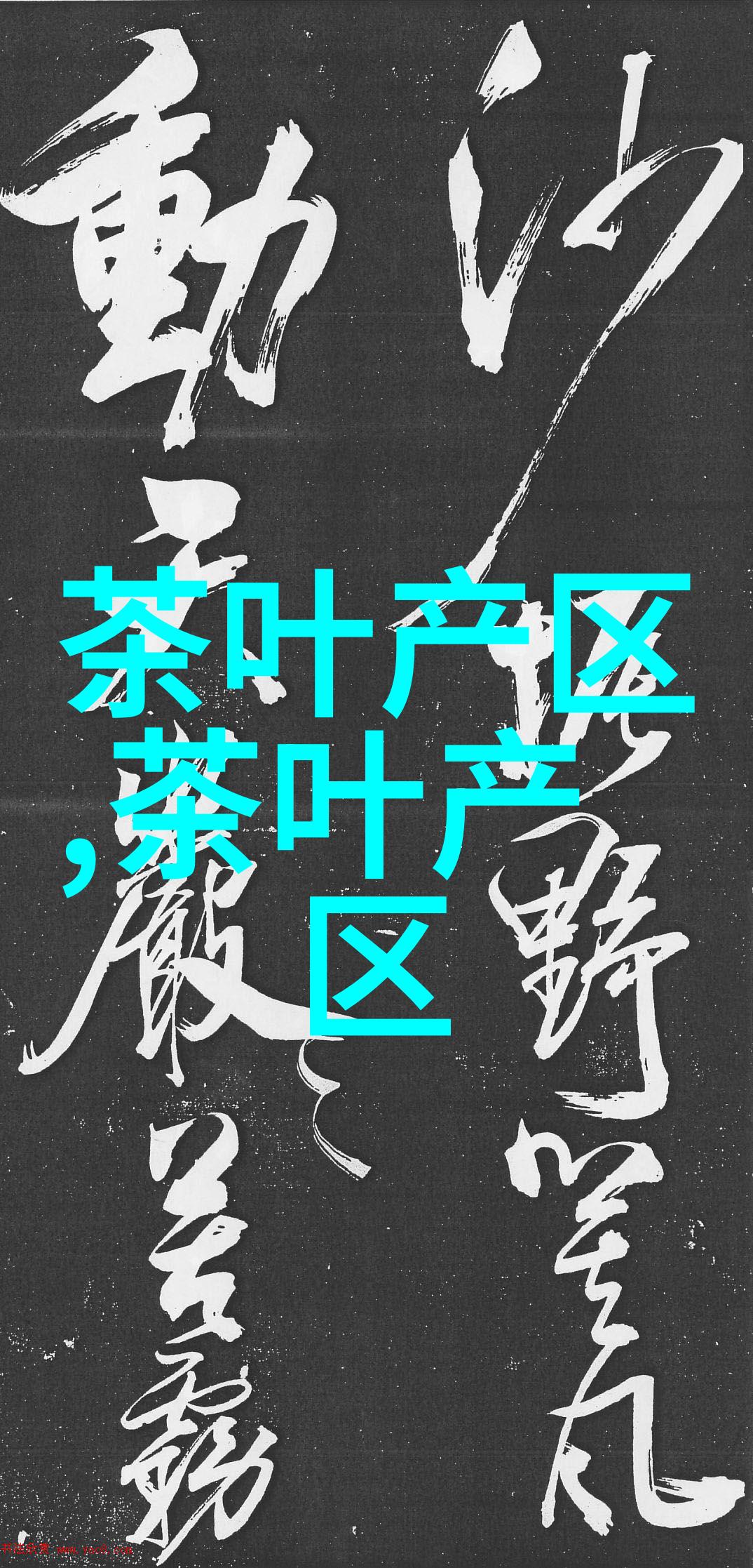 马黛茶阿根廷的国宝茶