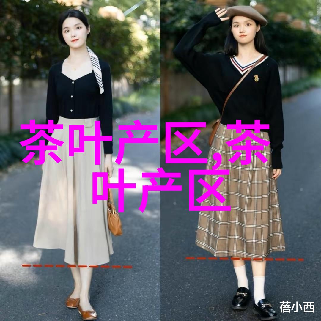 梧州六堡茶历史源远流长